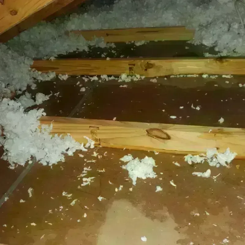 Attic Water Damage in Lincolnshire, IL