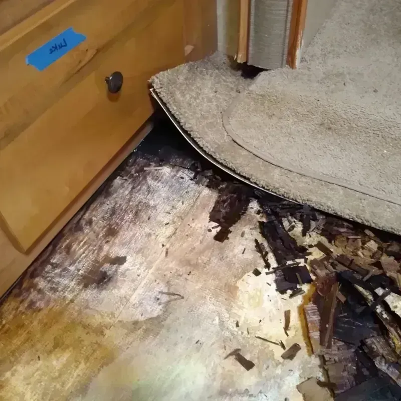 Wood Floor Water Damage in Lincolnshire, IL